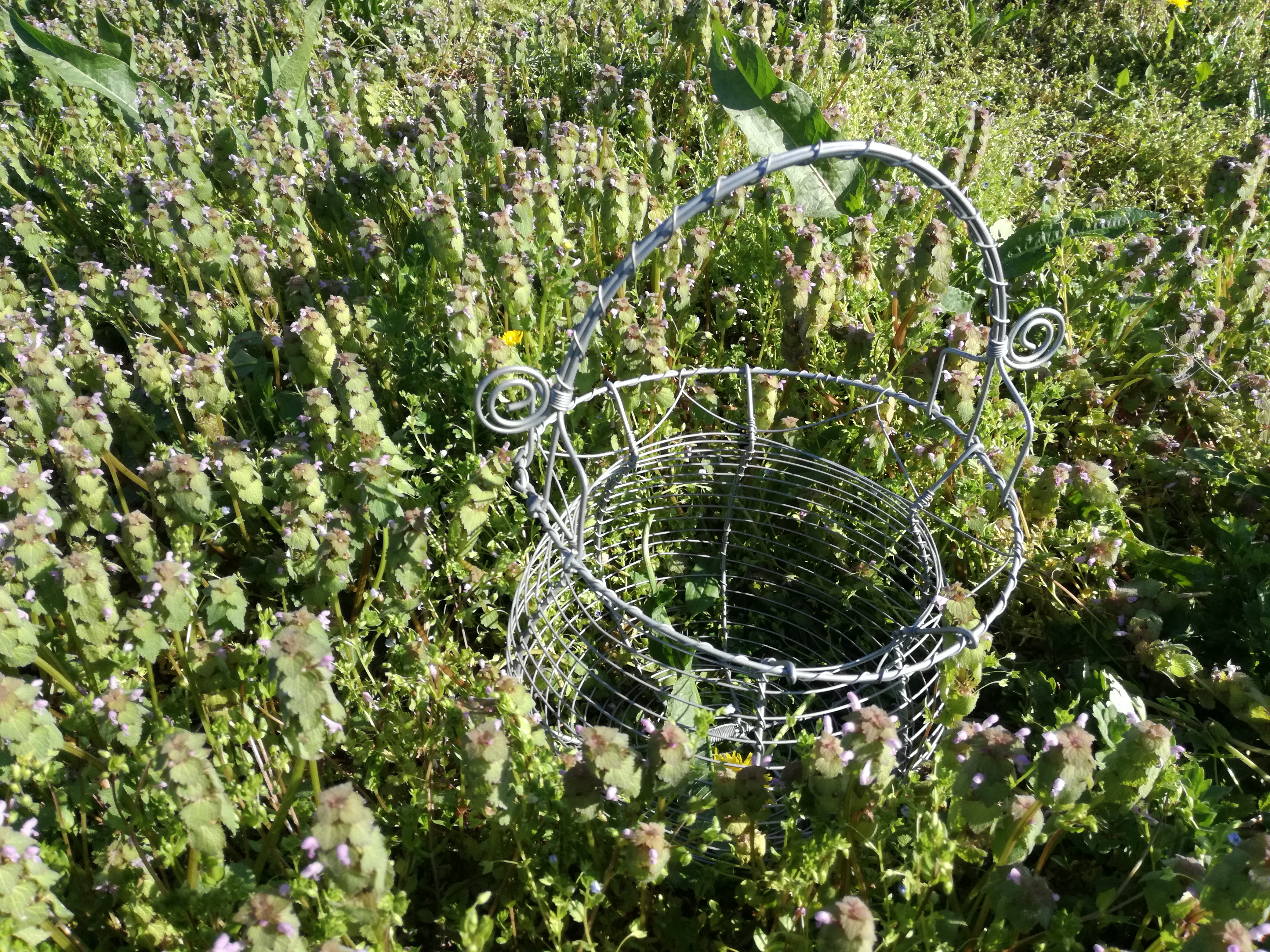 Generosità – Insalata Primaverile