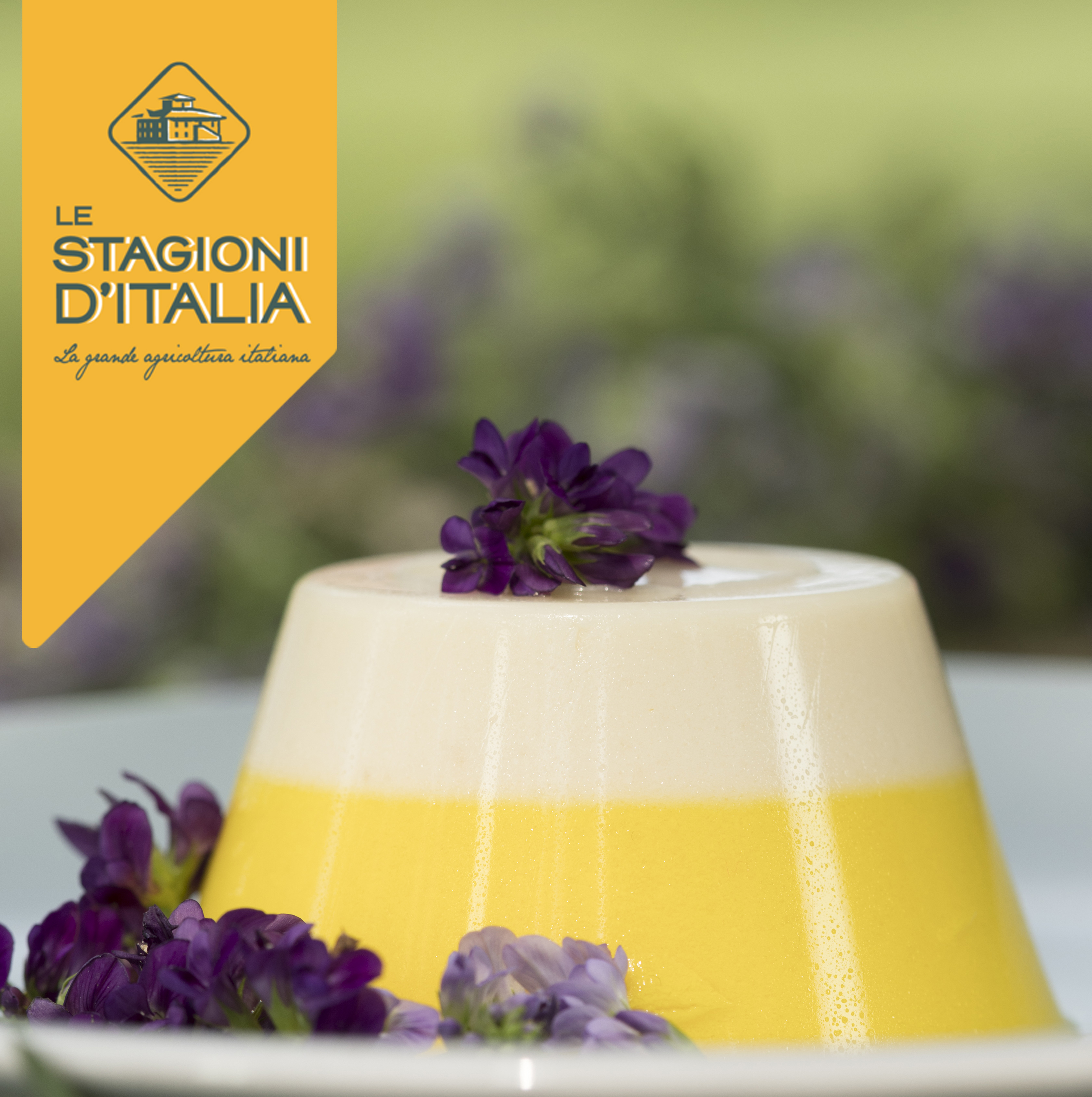 PANNA COTTA ALLA CAMOMILLA